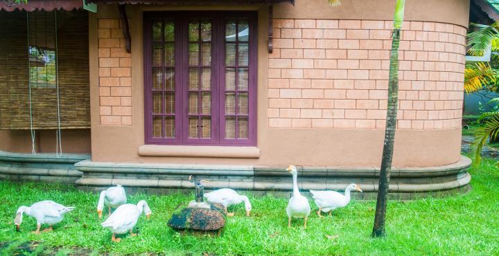 Pagoda Resorts Alappuzha Kültér fotó